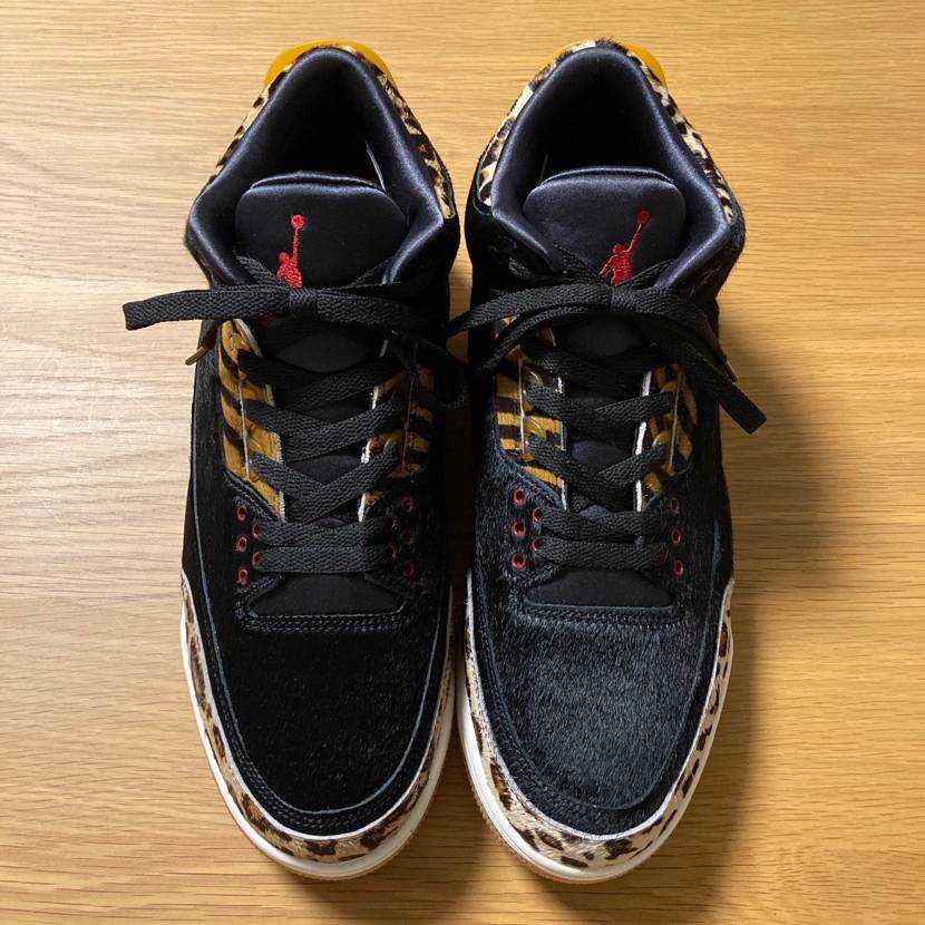 Nike Air Jordan 3 Retro SE "Animal Instinct/Safari"