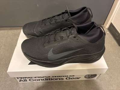 Nike ACG Pegasus Trail GORE-TEX "Black/Summit White"