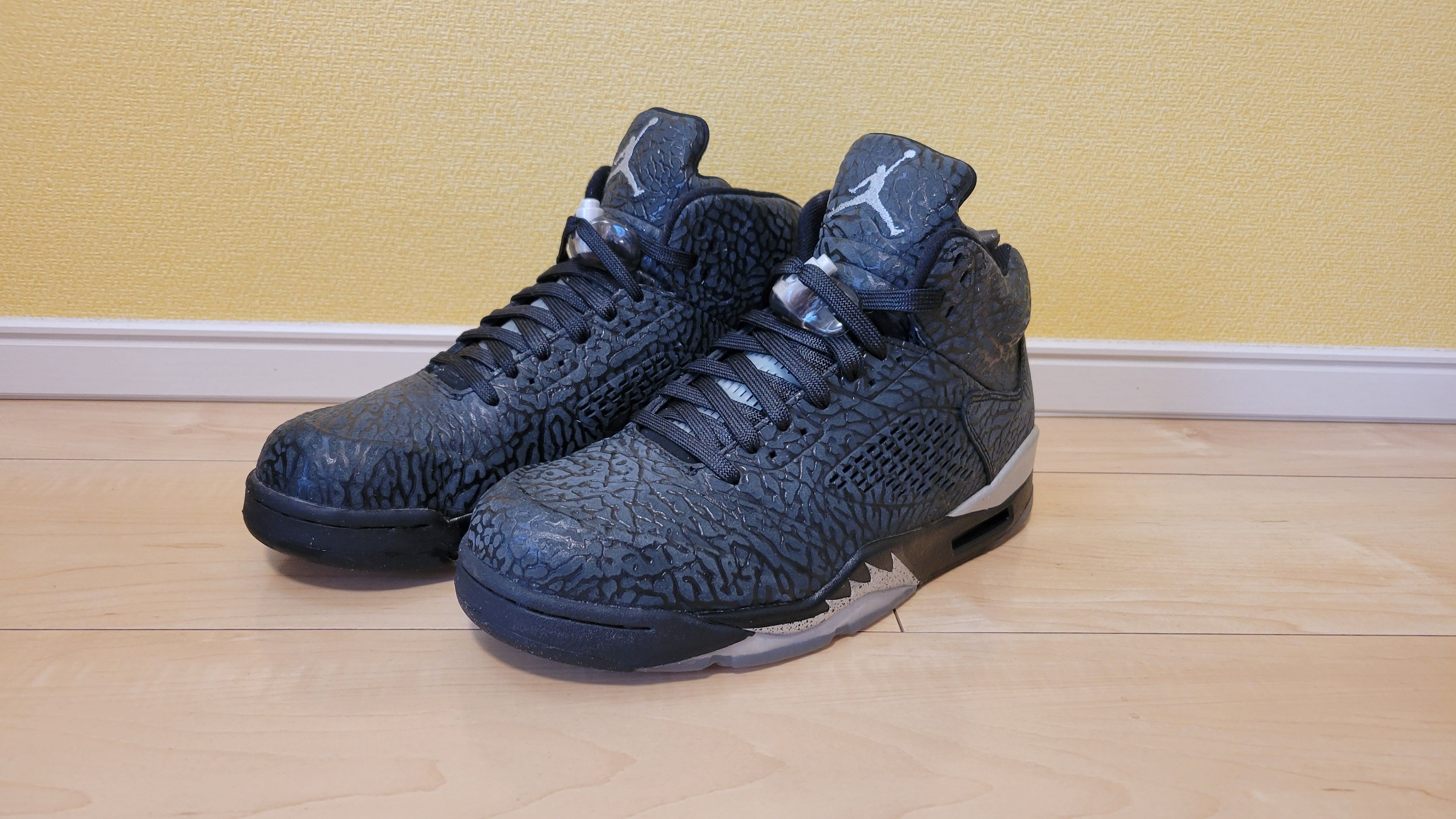 Nike Air Jordan 5 Retro 3Lab5 "Black Silver"
