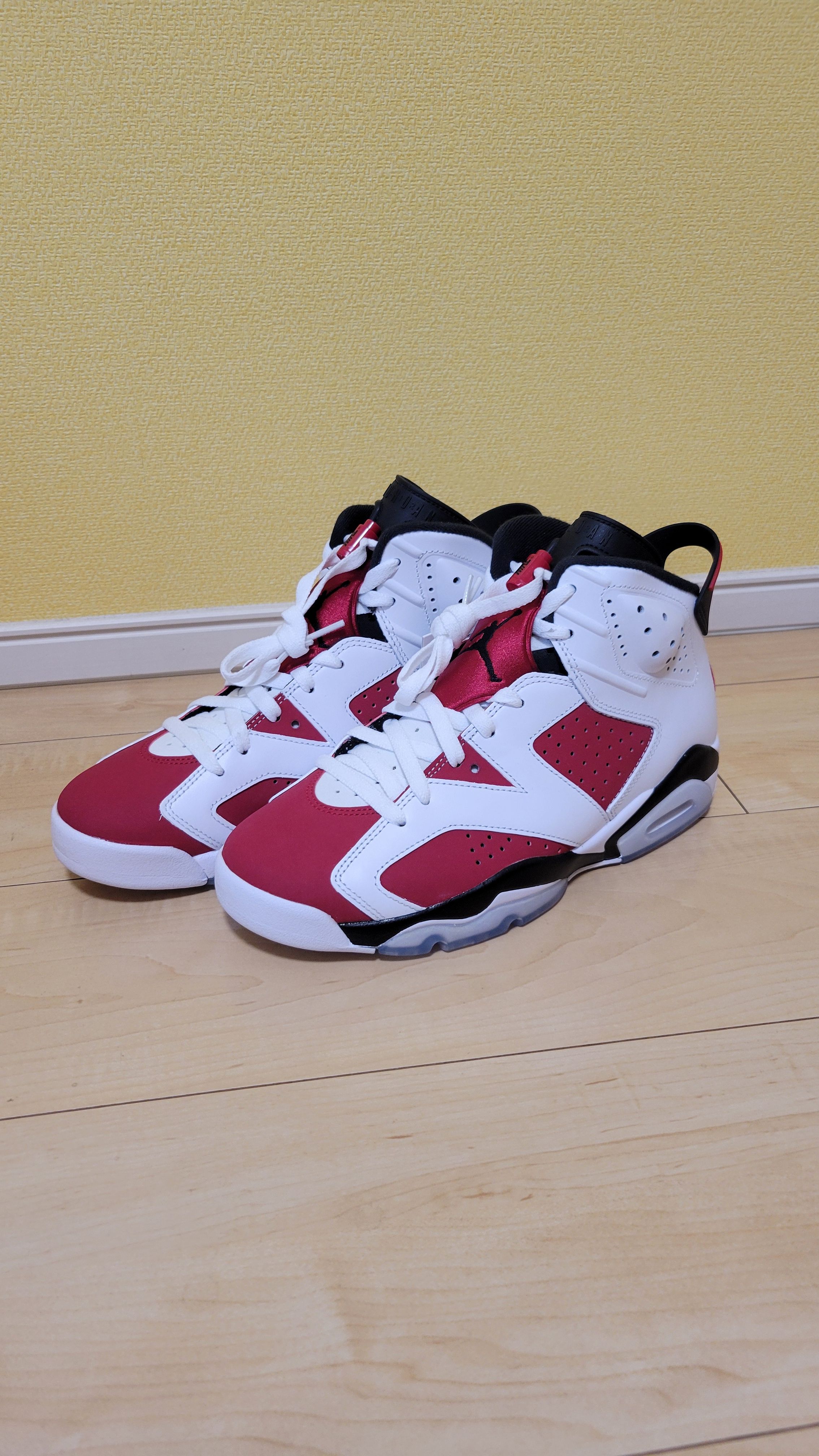 Nike Air Jordan 6 "Carmine" (2021)