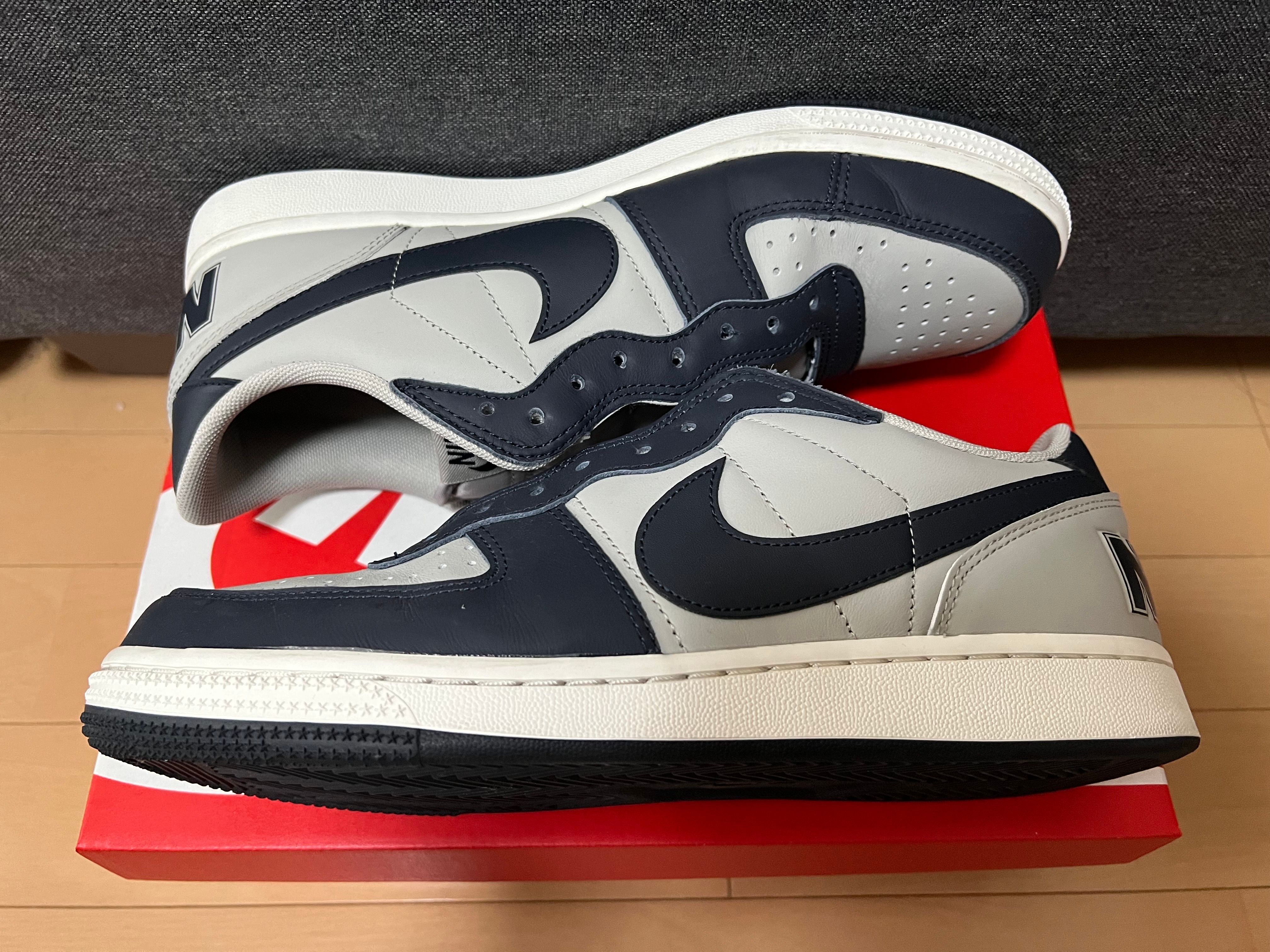 Nike Terminator Low "Dark Obsidian and Granite/Georgetown"(2023)