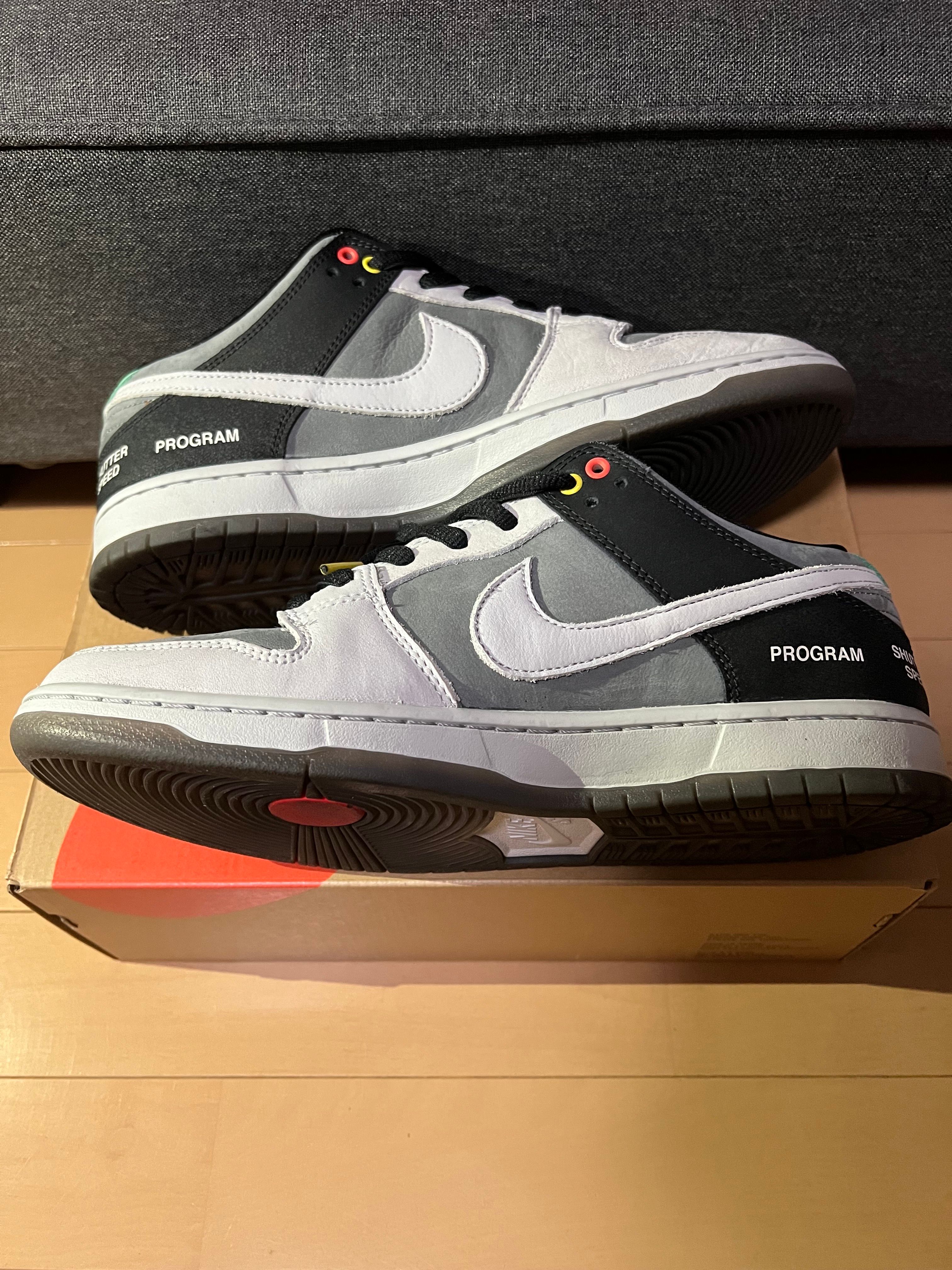 Nike SB Dunk Low Pro "VX1000 Camcorder"