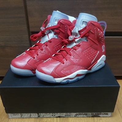 Nike Air Jordan 6 RETRO "SLAM DUNK"