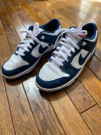 Nike Dunk Low "Valerian Blue"