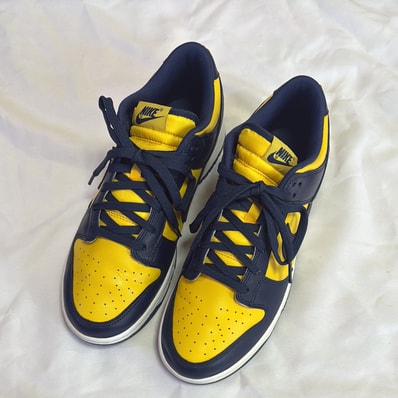 Nike Dunk Low "Michigan"