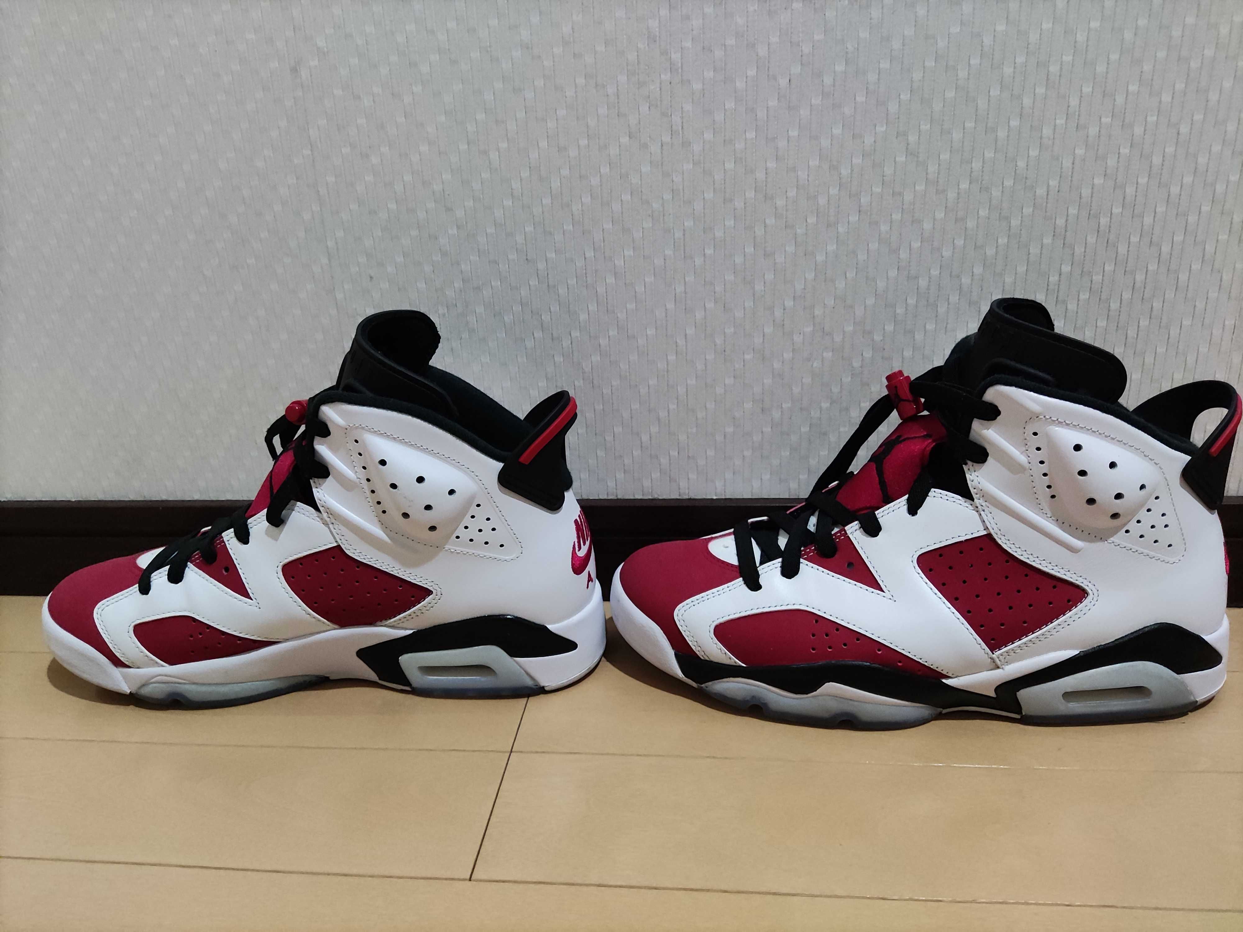 Nike Air Jordan 6 "Carmine" (2021)