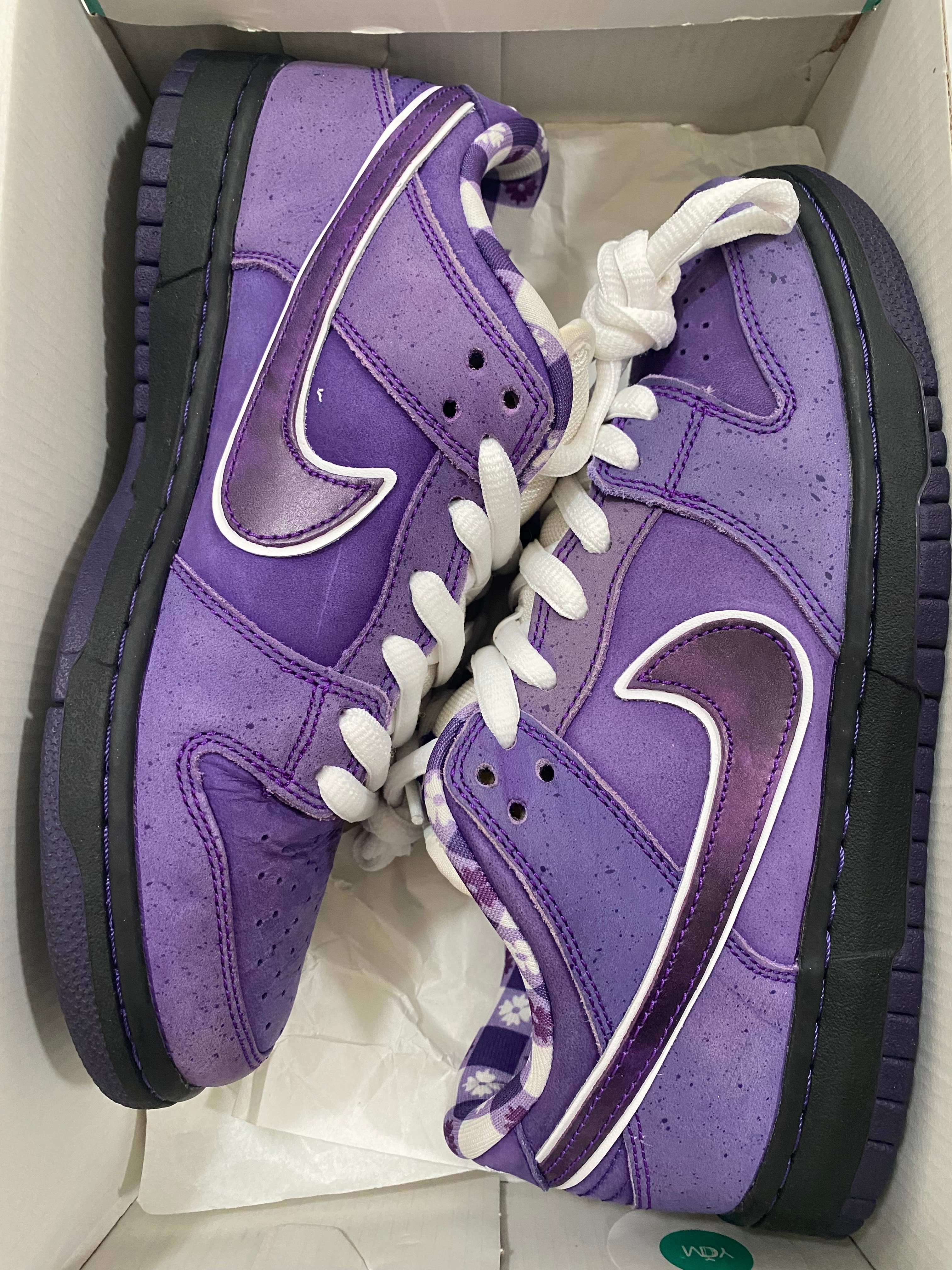 Concepts × Nike SB Dunk Low "Purple Lobster"