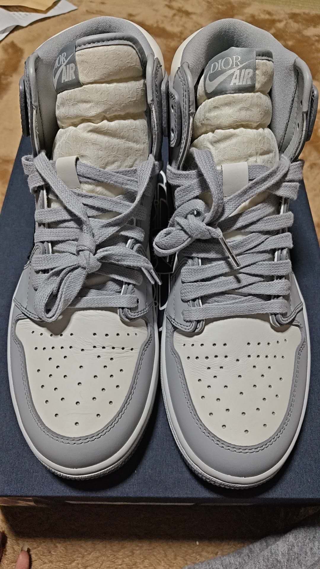 Dior × Nike Air Jordan 1 High OG "DIOR"