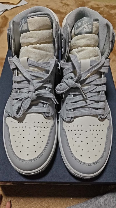 Dior × Nike Air Jordan 1 High OG "DIOR"