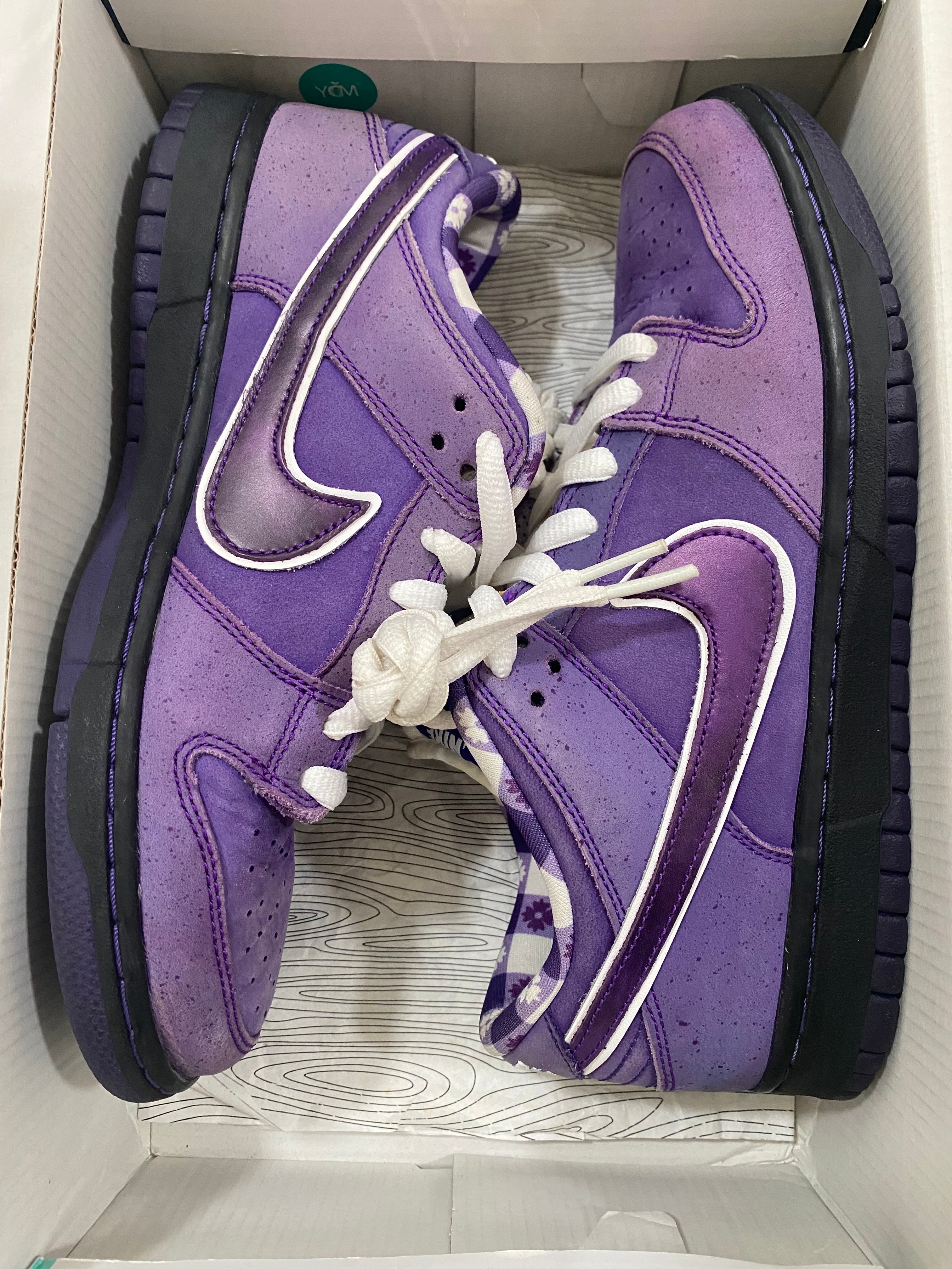 Concepts × Nike SB Dunk Low "Purple Lobster"