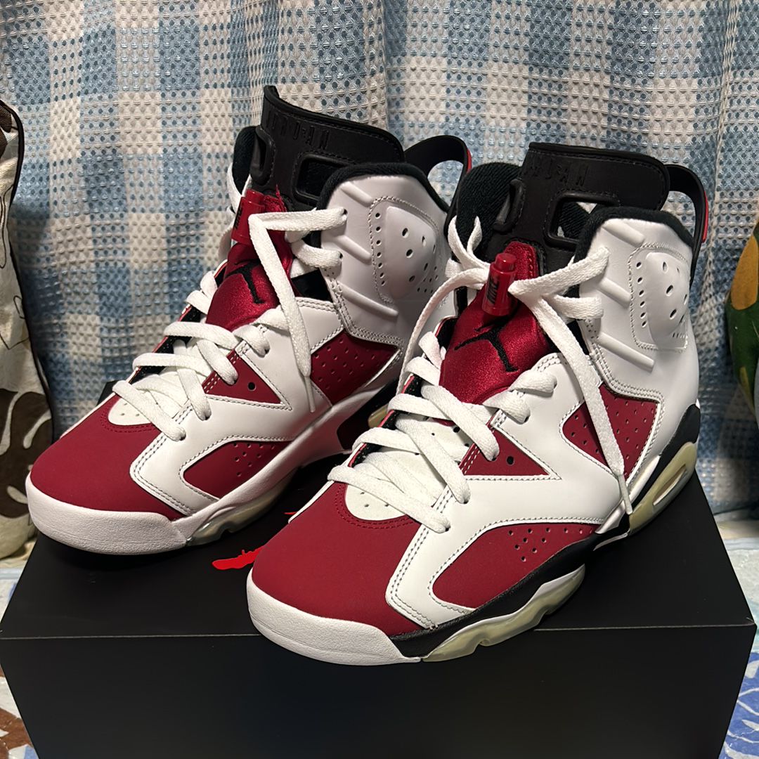 Nike Air Jordan 6 "Carmine" (2021)