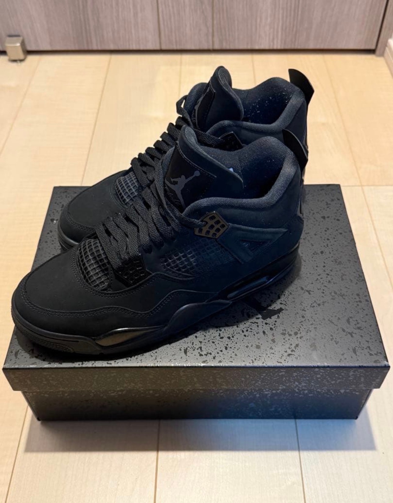 Nike Air Jordan 4 Retro OG "Black Cat" (2025)