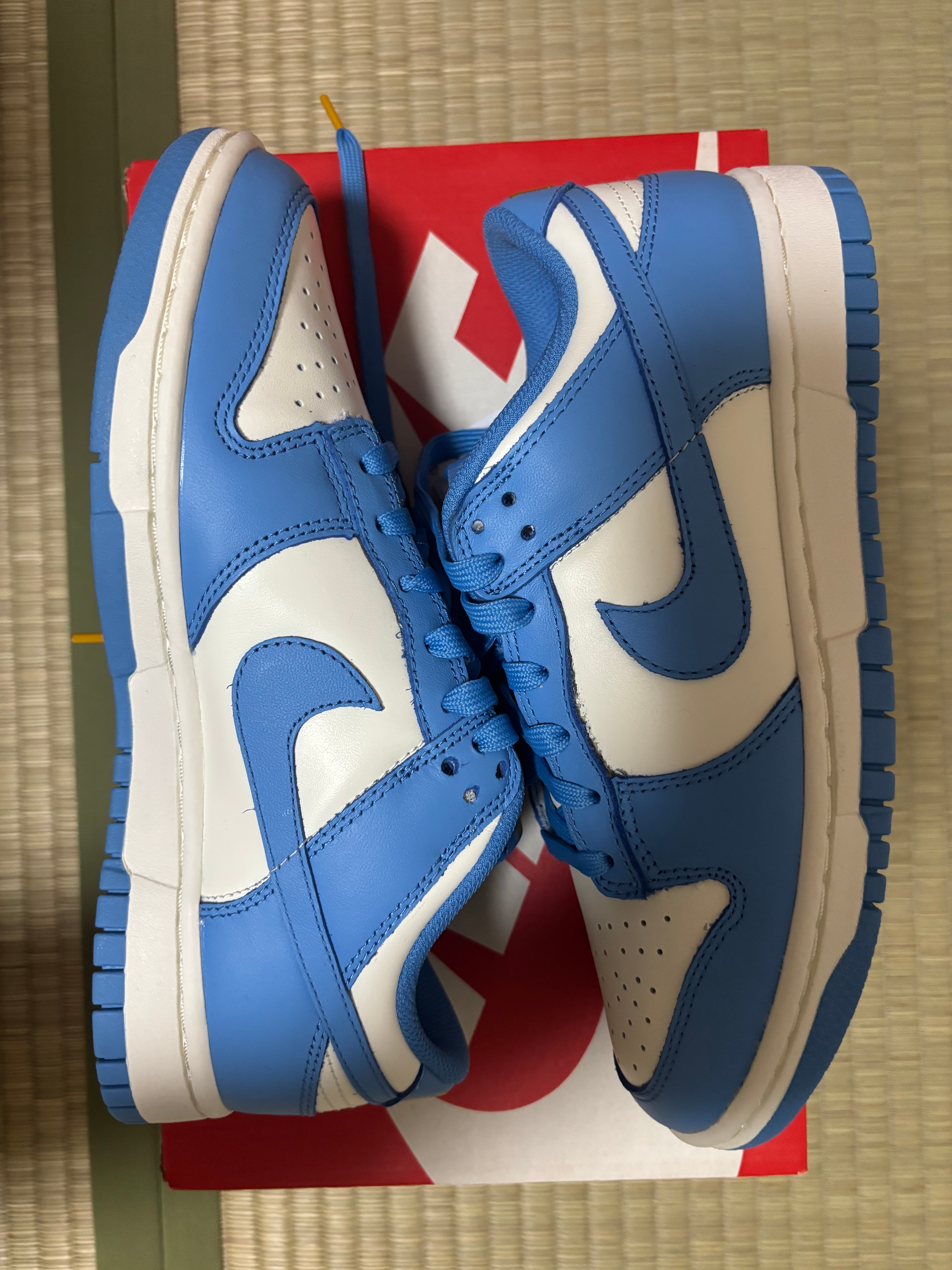 Nike Women's Dunk Low "Coast"