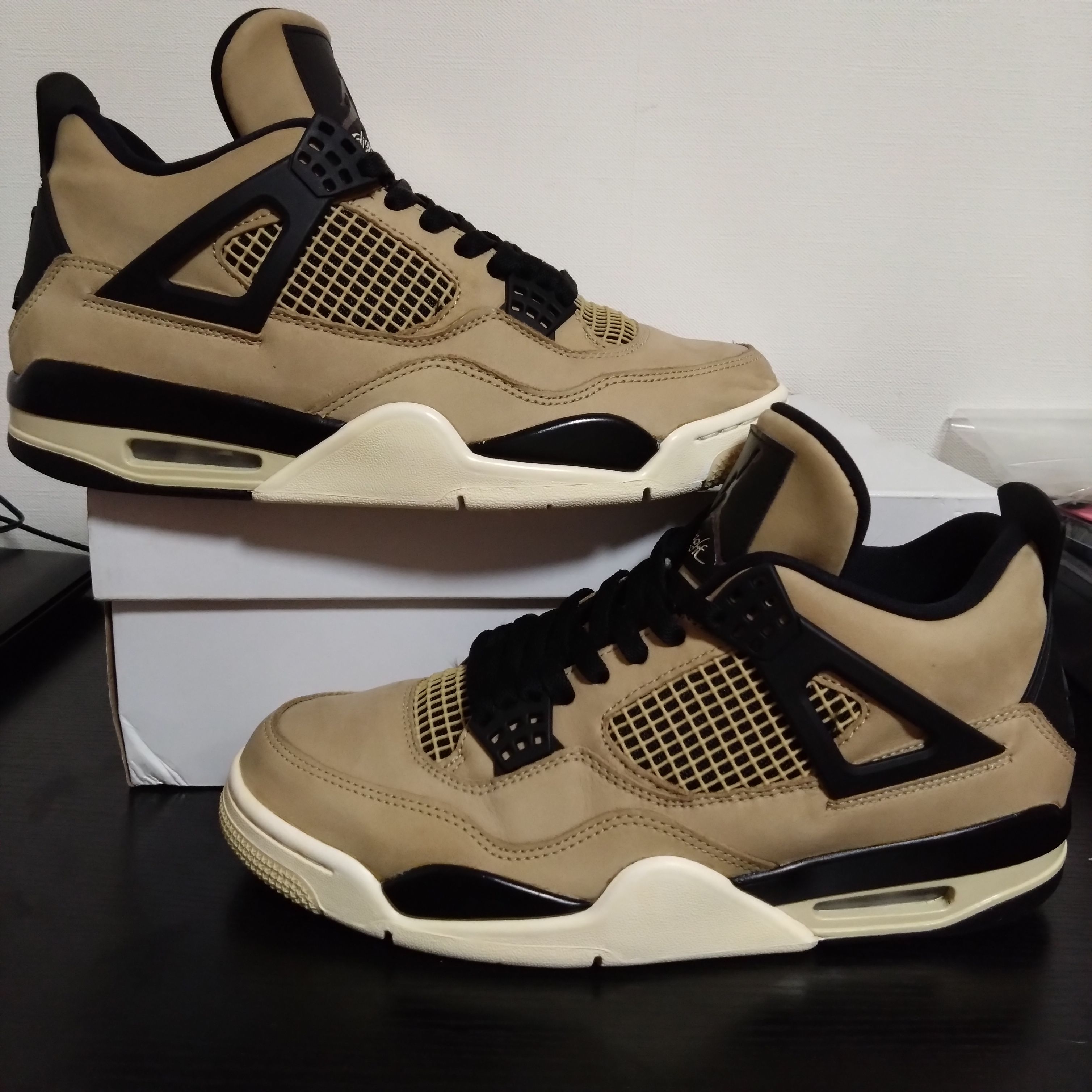 Nike Women's Air Jordan 4 "Mushroom"