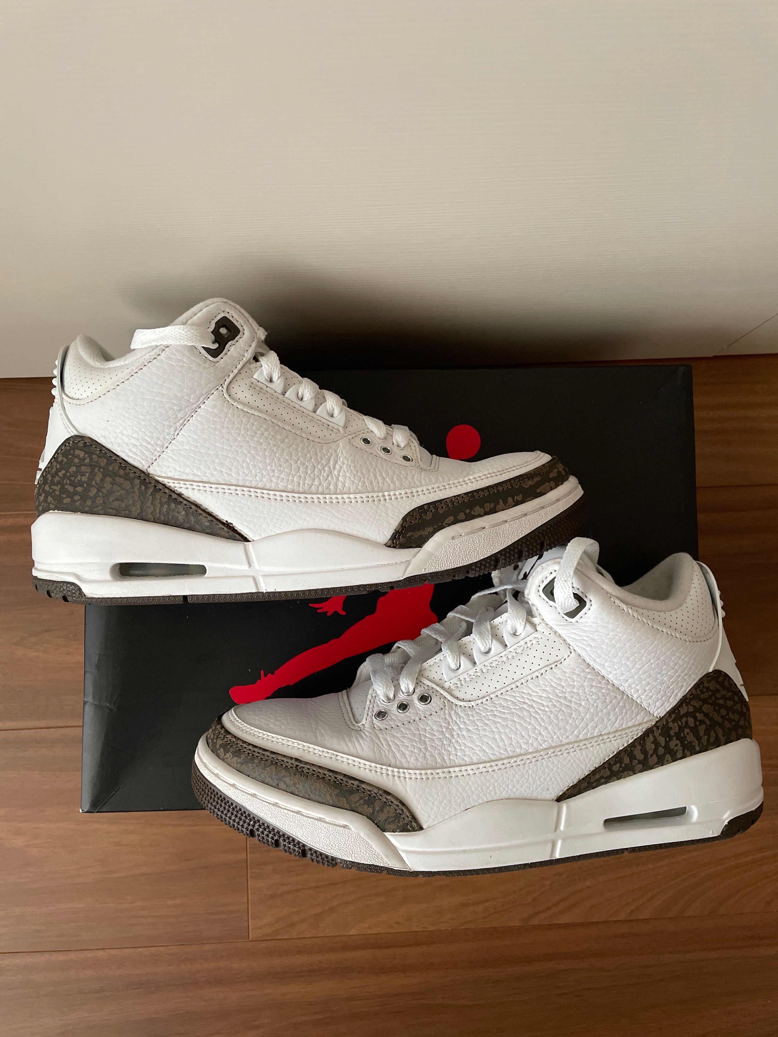 Nike Air Jordan 3 Retro "Mocha" (2018)