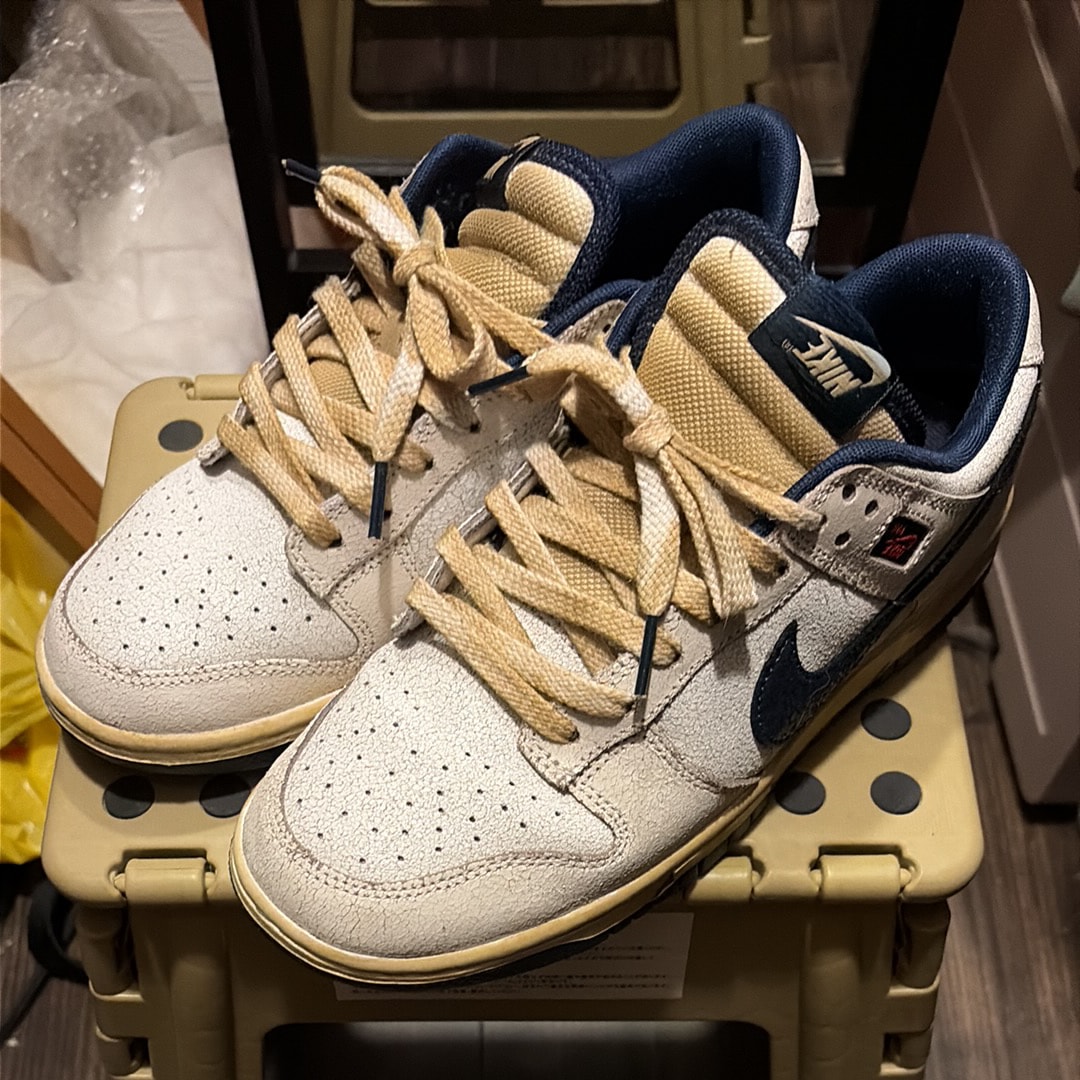 Stranger Things × Nike Dunk Low 