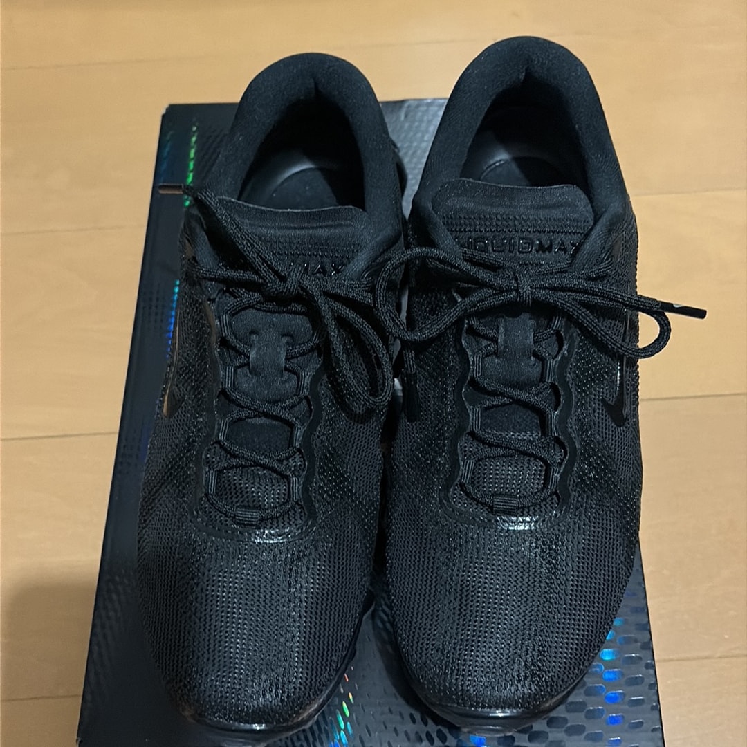 Nike Air Liquid Max "Triple Black"