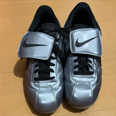 Nike Cortez SE Tiempo Pack "Metallic Cool Grey"