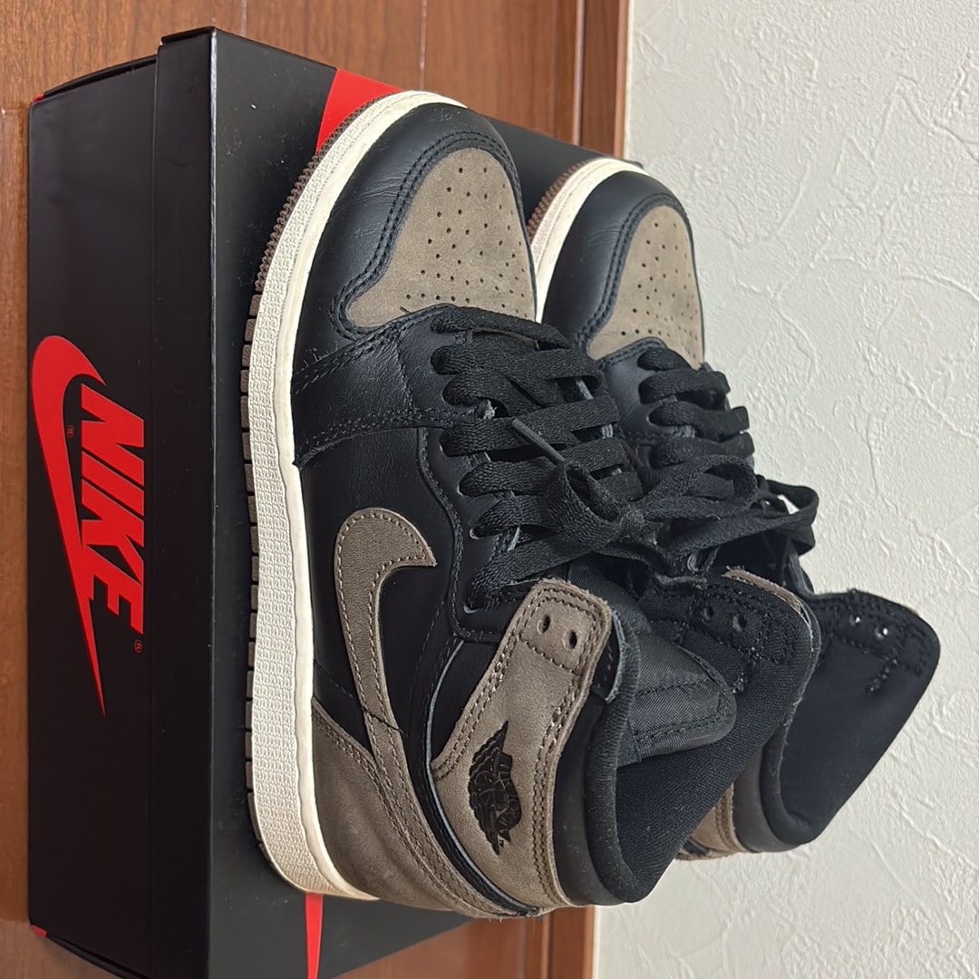 Nike GS Air Jordan 1 Retro High OG "Palomino"