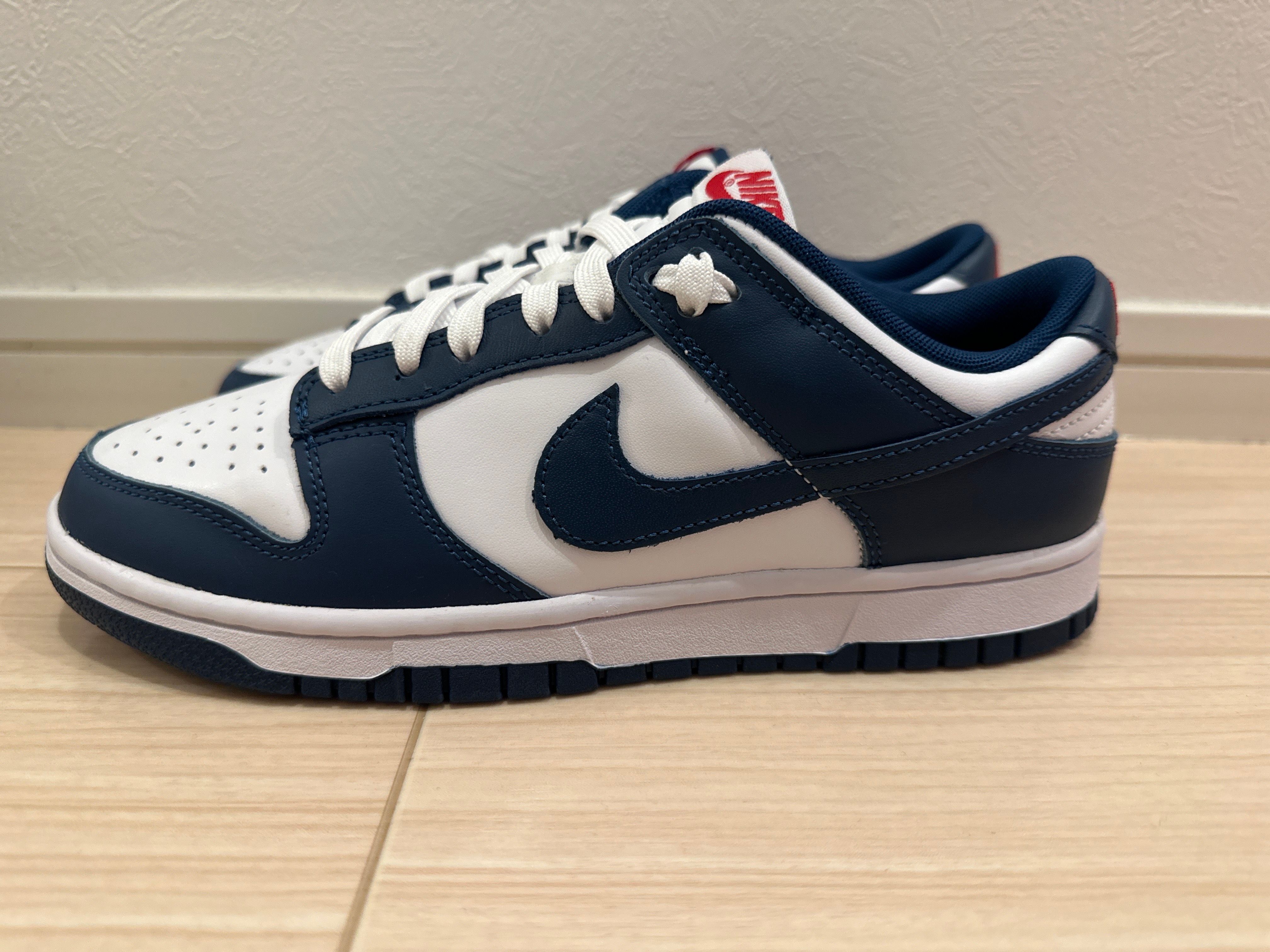 Nike Dunk Low "Valerian Blue"