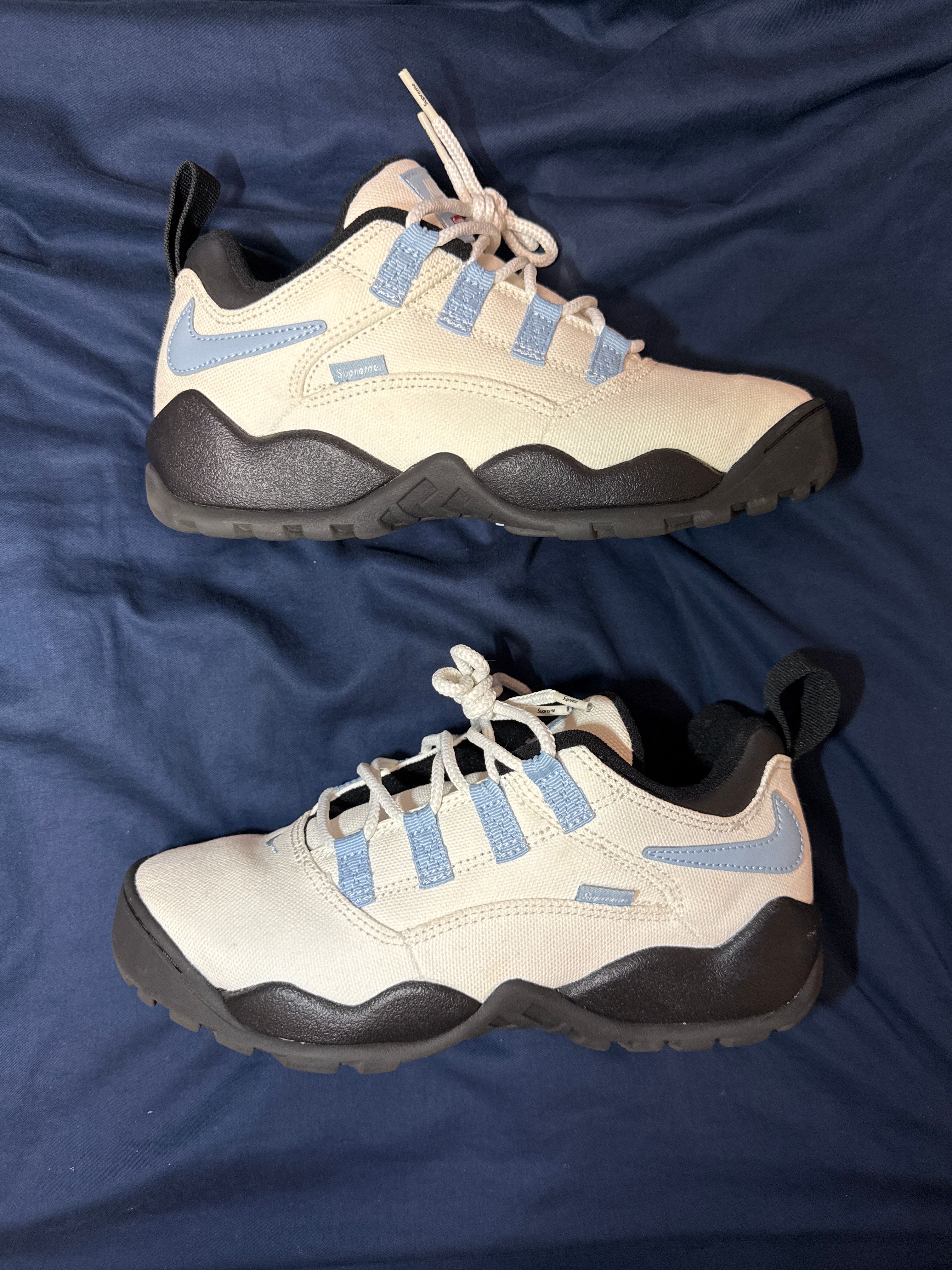 Supreme × Nike SB Darwin Low "White"