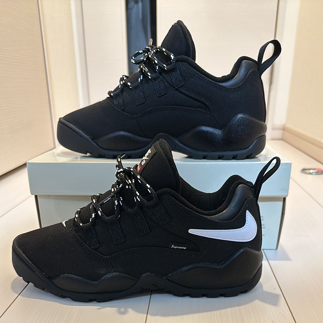 Supreme × Nike SB Darwin Low "Black"