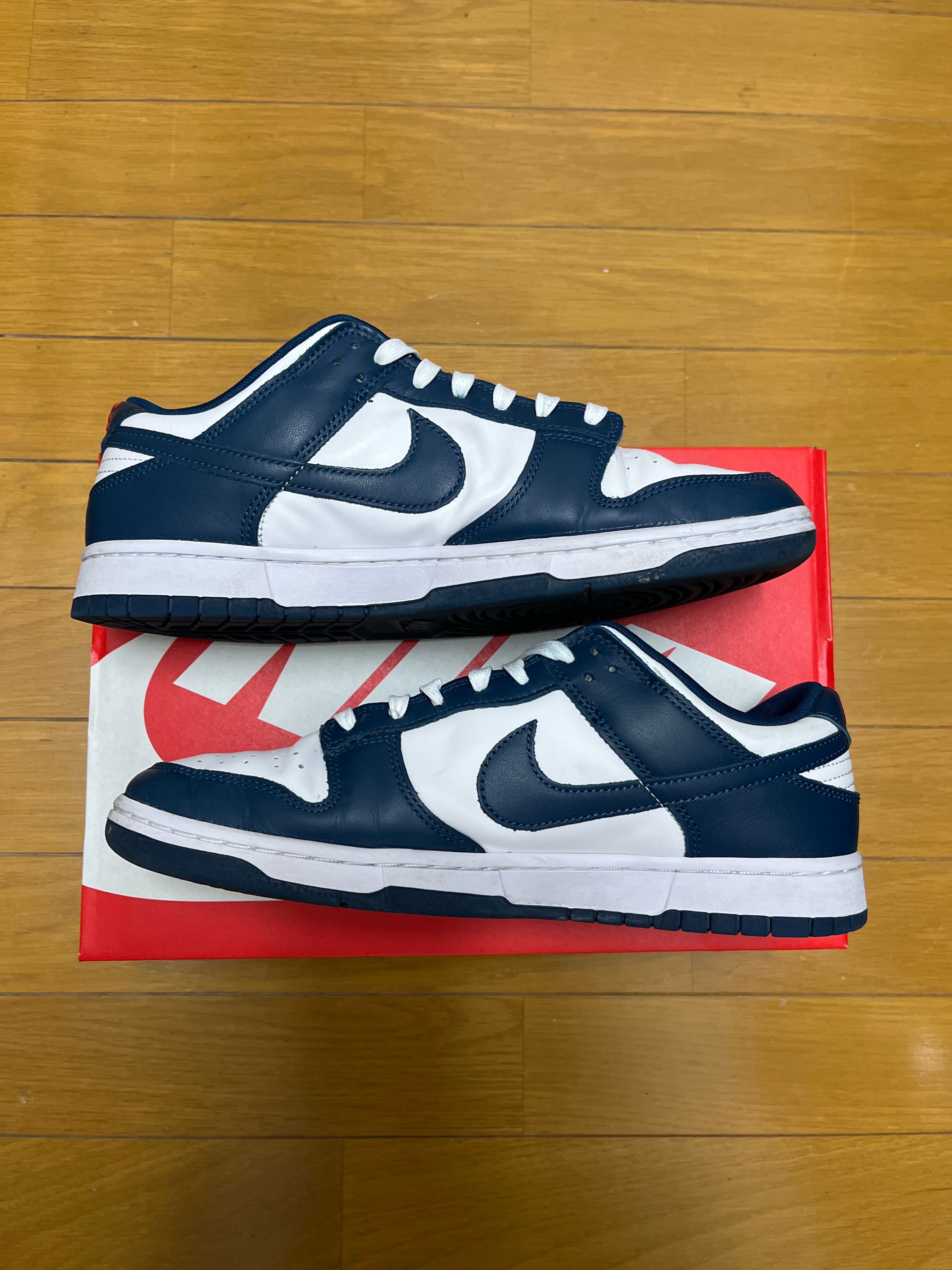 Nike Dunk Low "Valerian Blue"