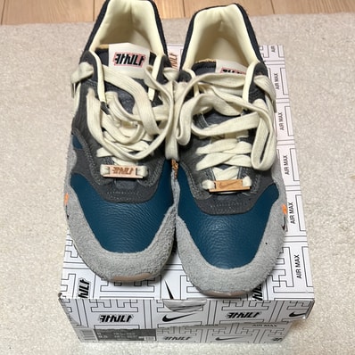 Kasina × Nike Air Max 1 "Won-Ang/Grey"
