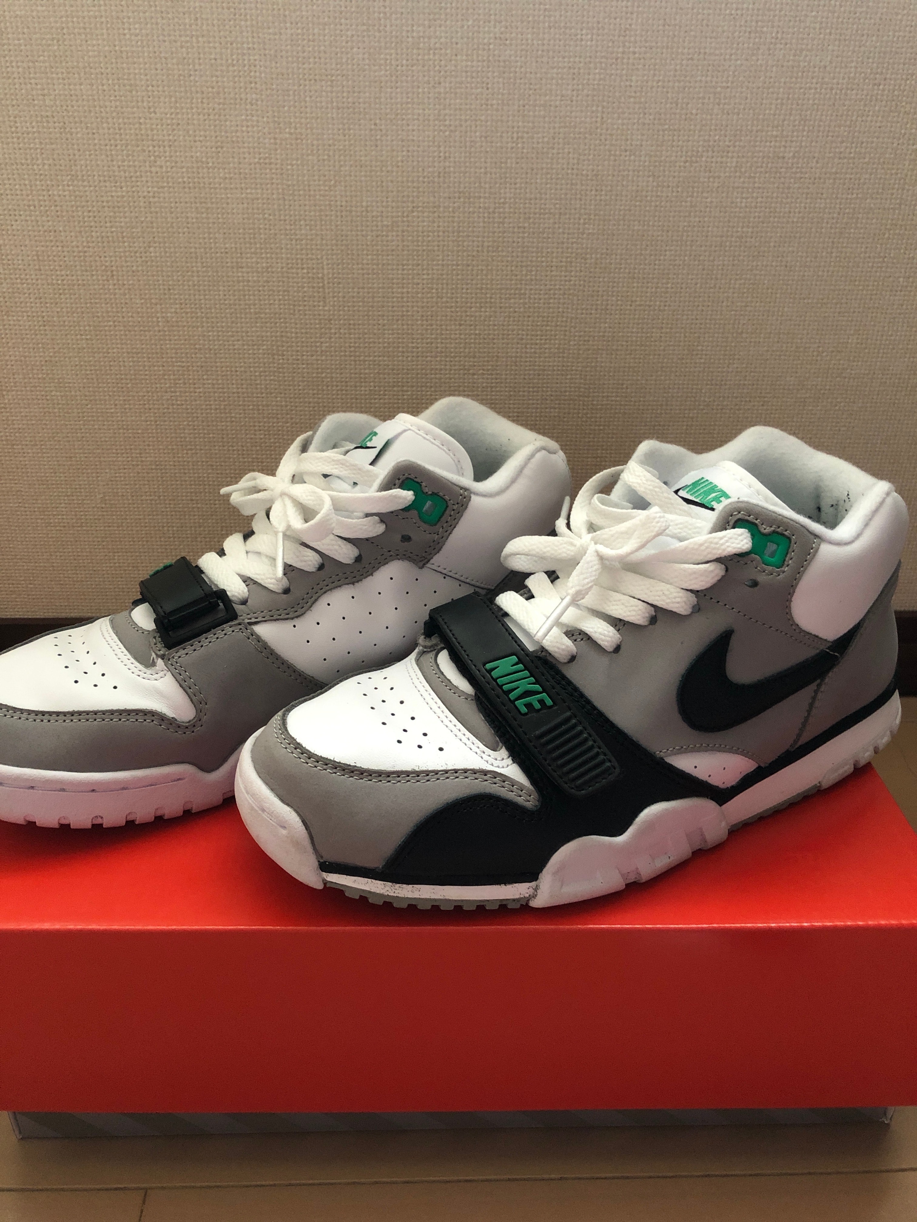 Nike Air Trainer 1 "Chlorophyll"