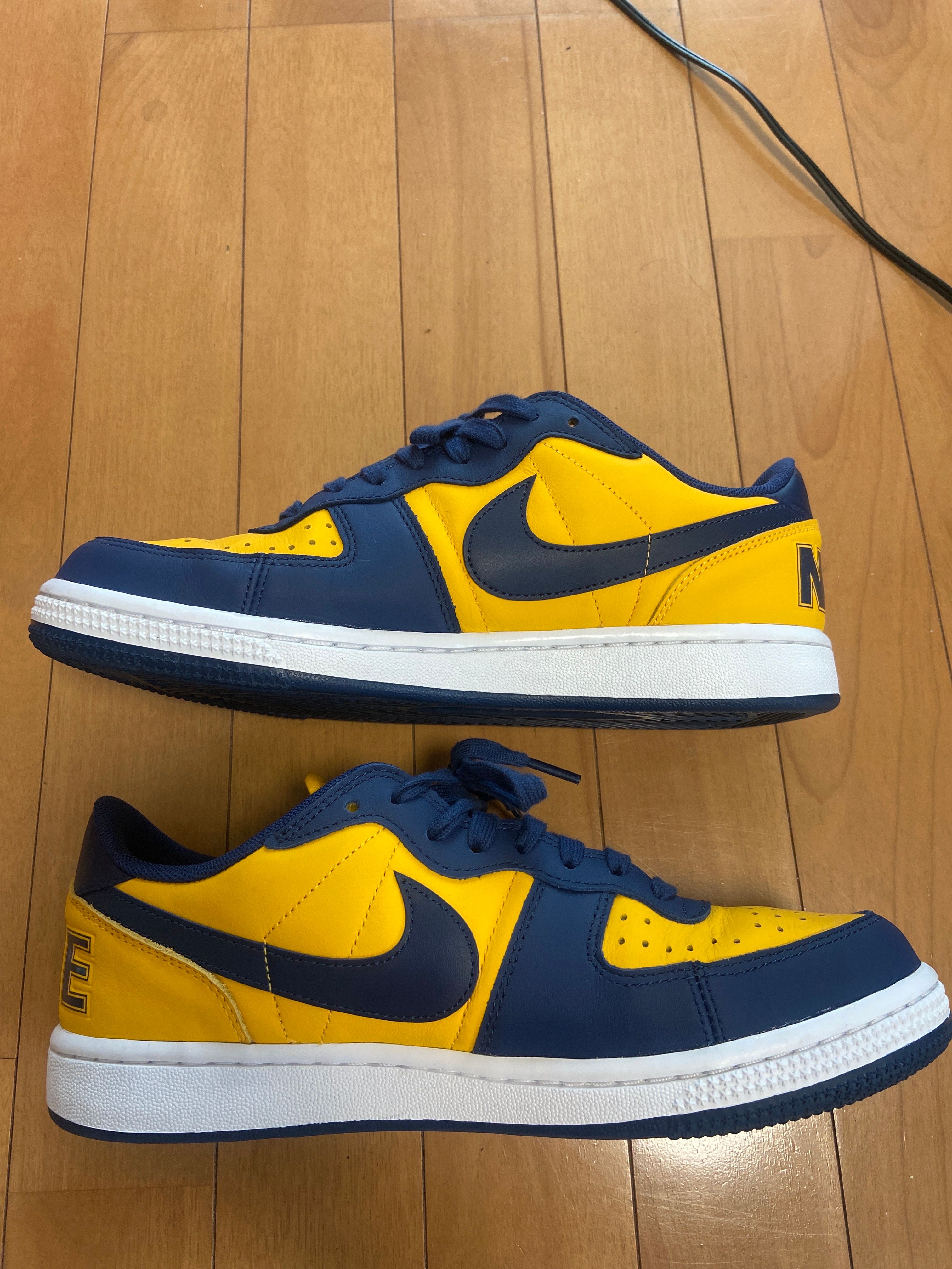Nike Terminator Low "University Gold and Navy/Michigan"