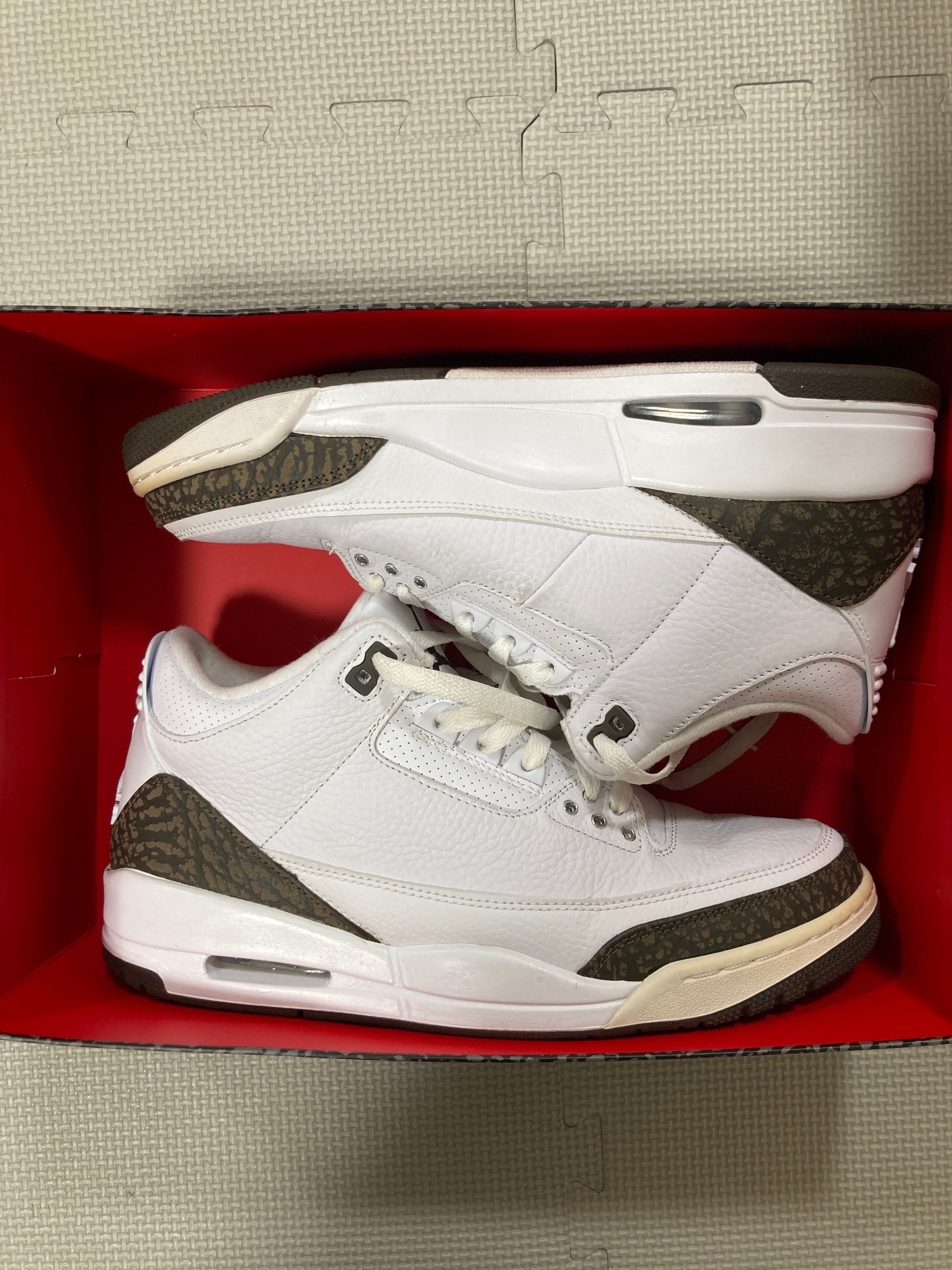 Nike Air Jordan 3 Retro "Mocha" (2018)