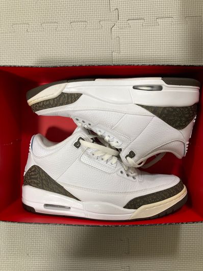 Nike Air Jordan 3 Retro "Mocha" (2018)