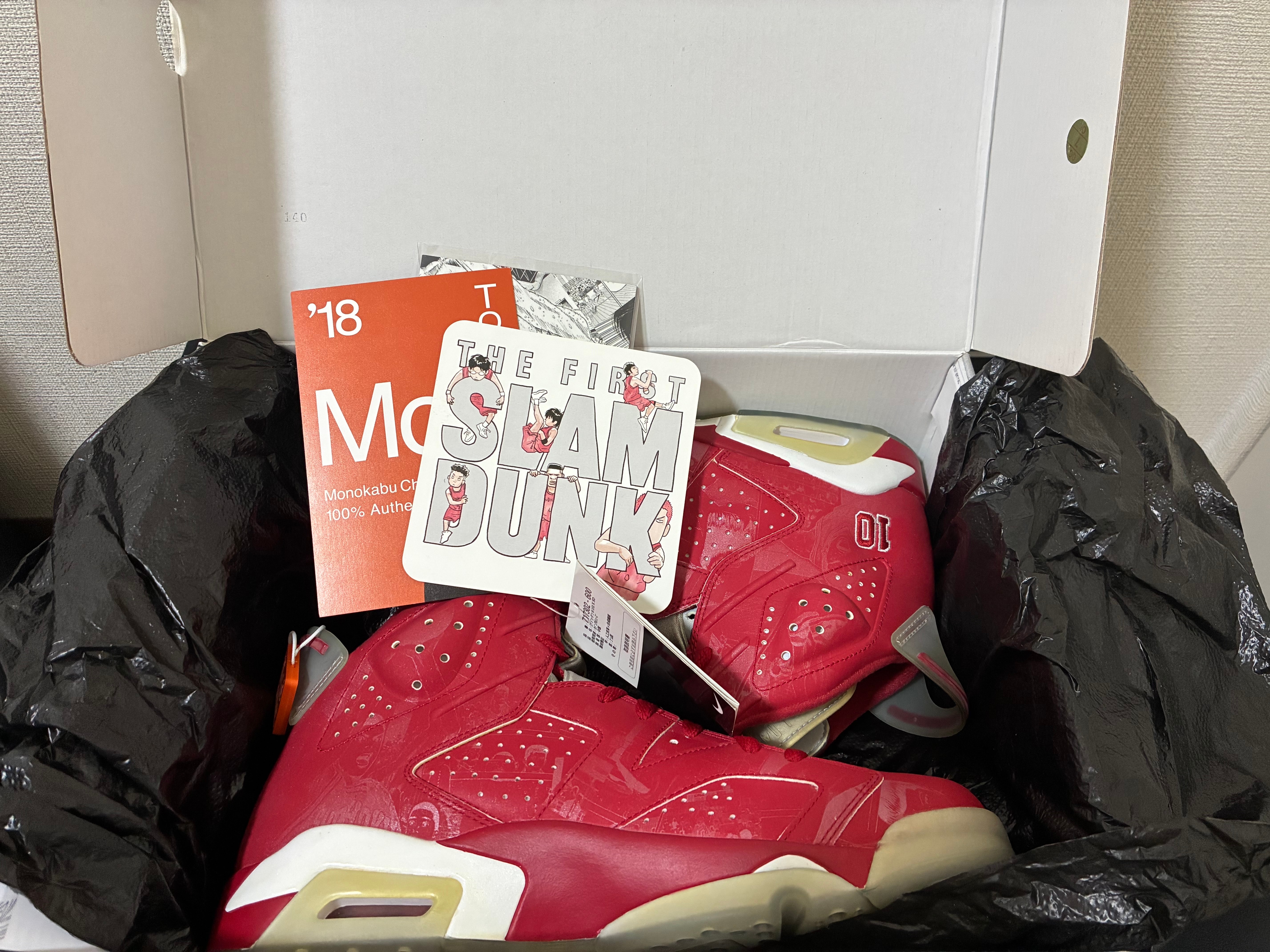 Nike Air Jordan 6 RETRO "SLAM DUNK"