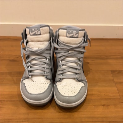 Dior × Nike Air Jordan 1 High OG "Wolf Grey"