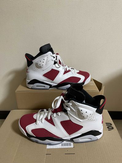 Nike Air Jordan 6 "Carmine" (2021)