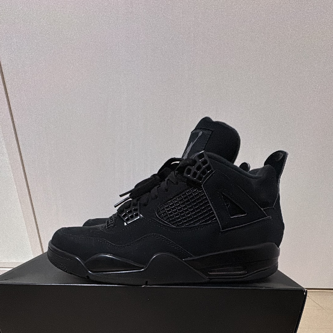 Nike Air Jordan 4 "Black Cat"