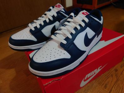 Nike Dunk Low "Valerian Blue"