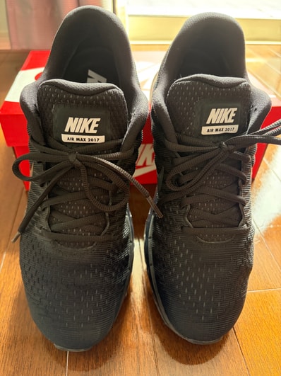 Nike Air Max 2017 "Triple Black"