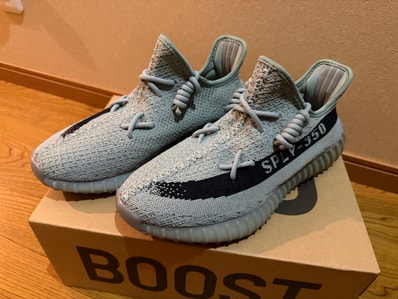 adidas YEEZY Boost 350V2 "Salt/Core Black"
