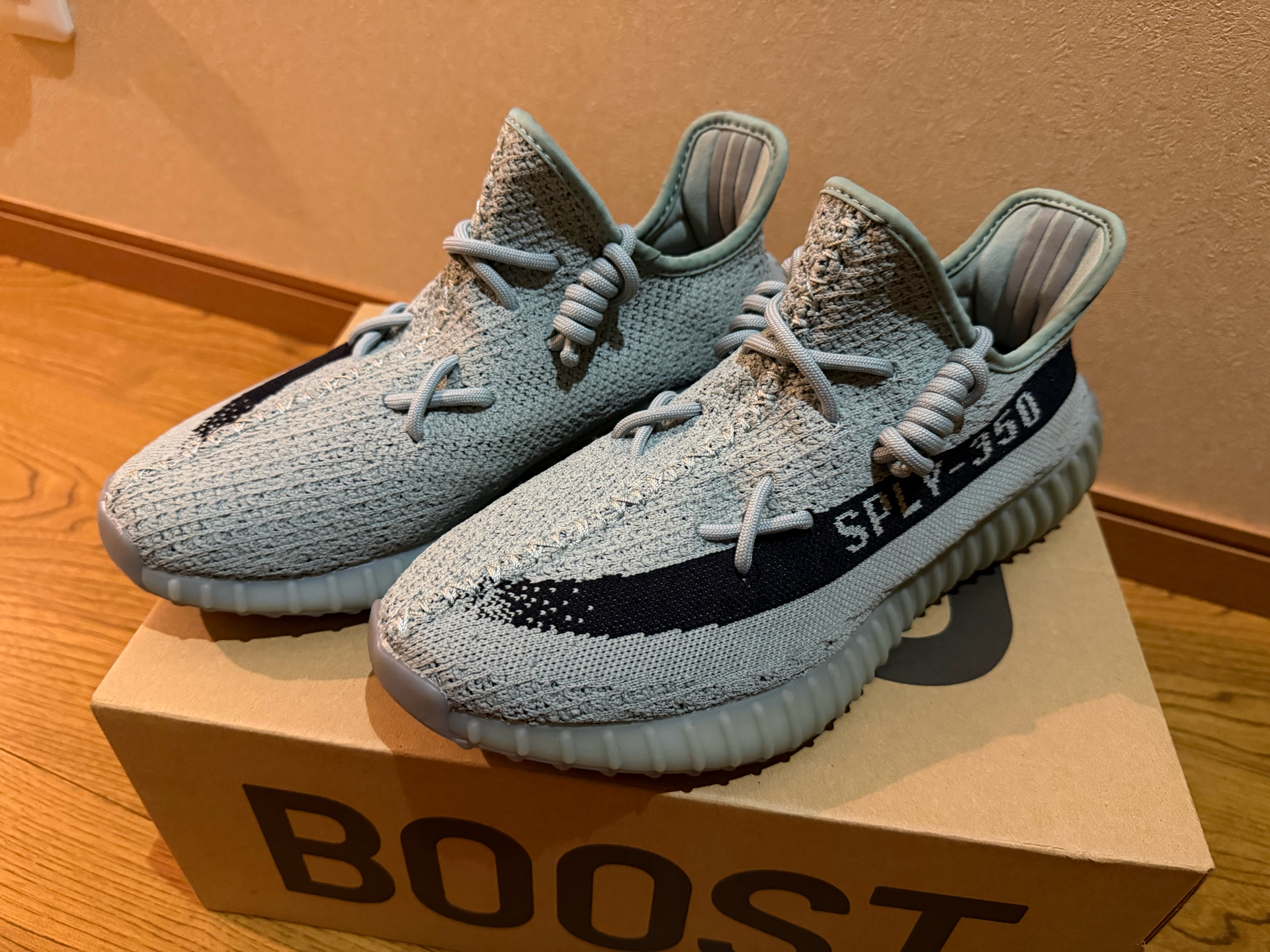 adidas YEEZY Boost 350V2 "Salt/Core Black" 