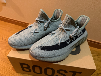 adidas YEEZY Boost 350V2 "Salt/Core Black"
