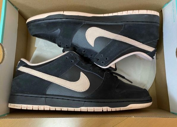 Nike SB Dunk Low PRO "Black/Washed Coral"