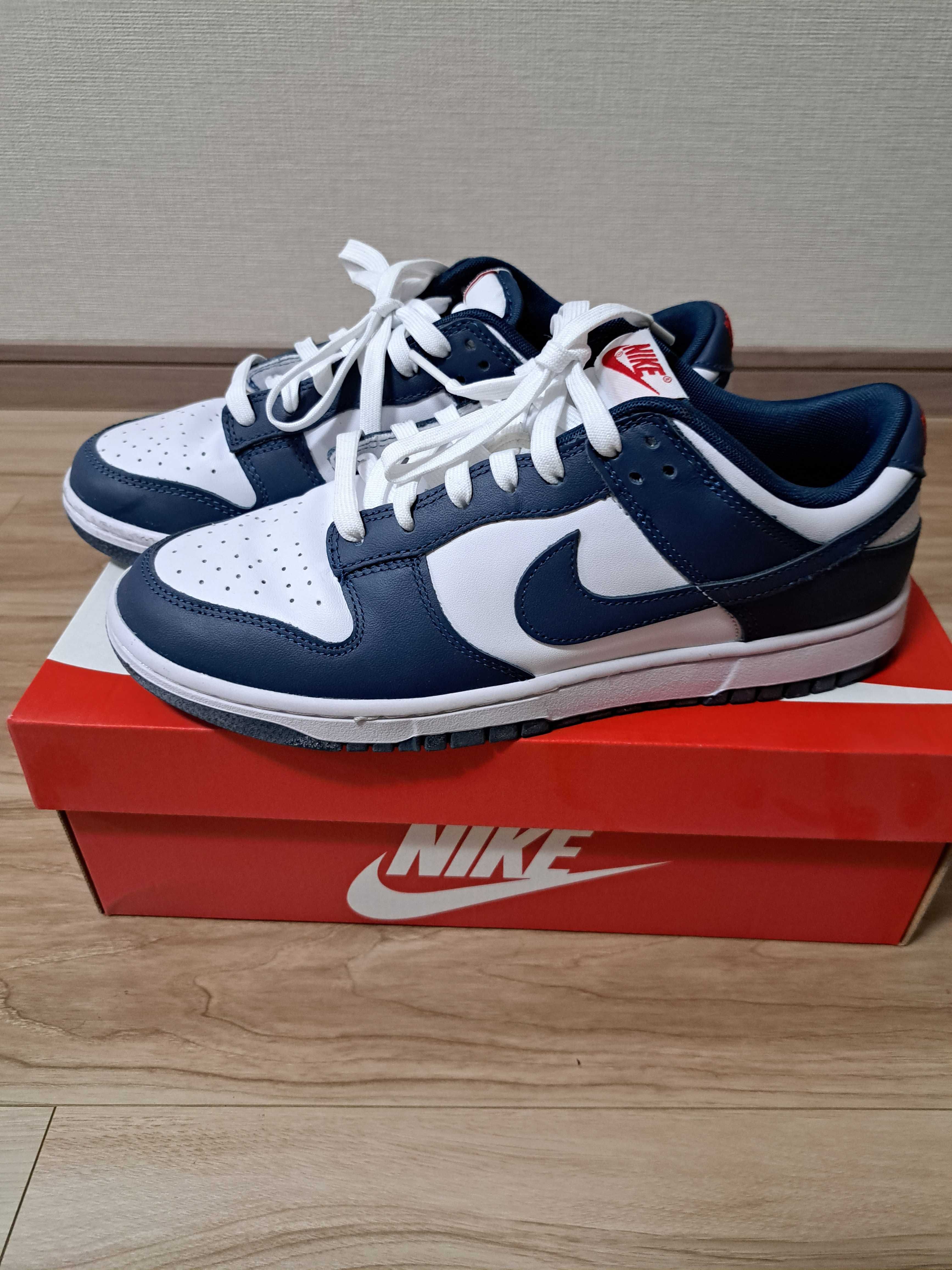 Nike Dunk Low "Valerian Blue"