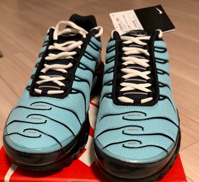 Nike Air Max Plus "Aqua/Black/White/Metallic Silver"