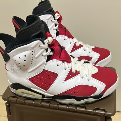 Nike Air Jordan 6 "Carmine" (2021)