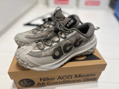 Nike ACG Mountain Fly 2 Low "Light Iron Ore"