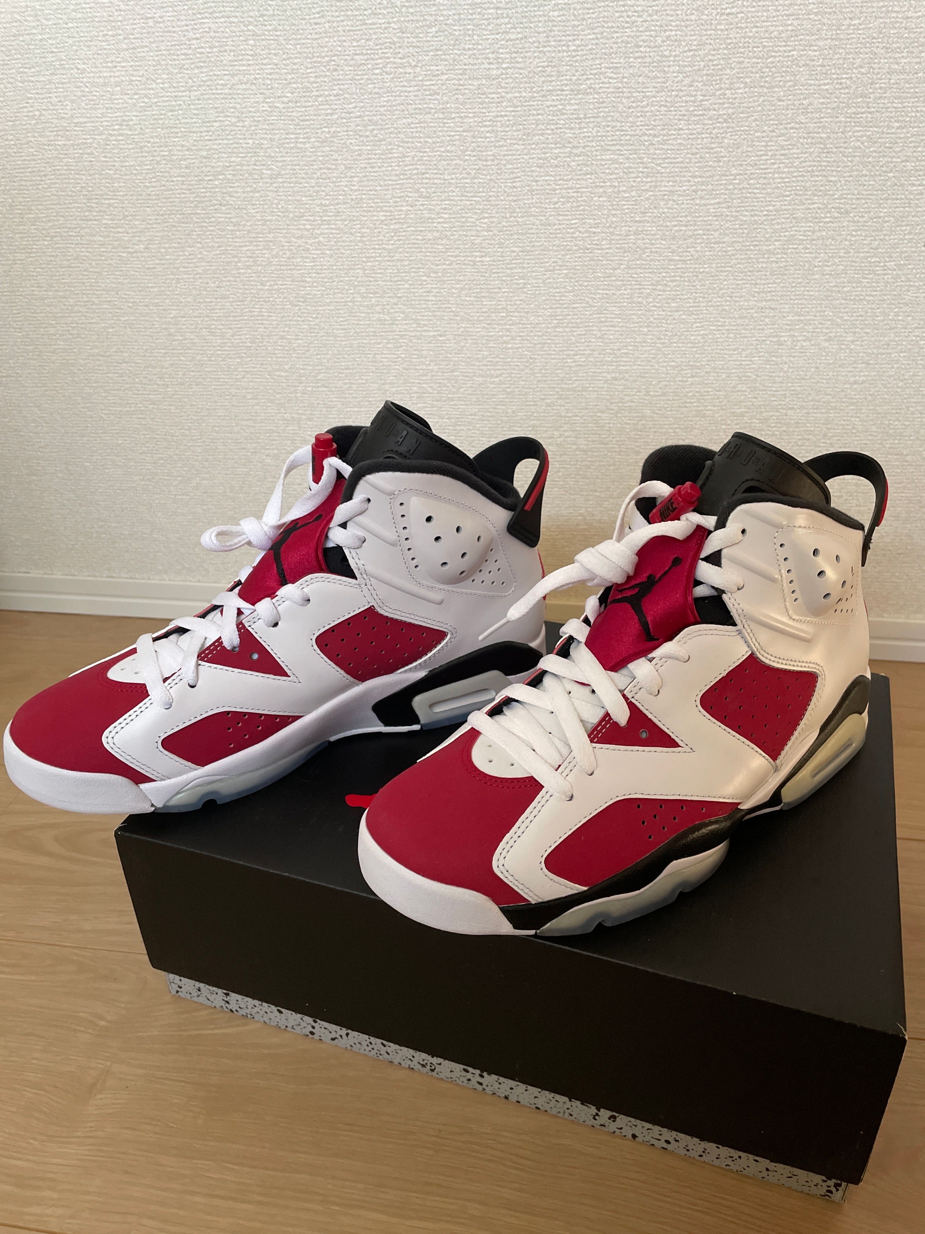 Nike Air Jordan 6 "Carmine" (2021)