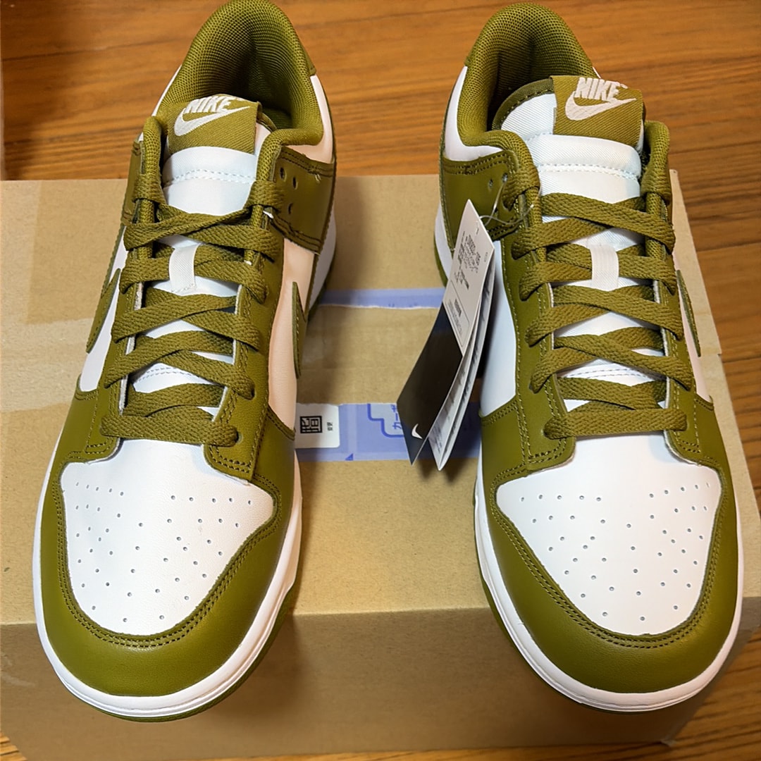 Nike Dunk Low Retro "Pacific Moss"