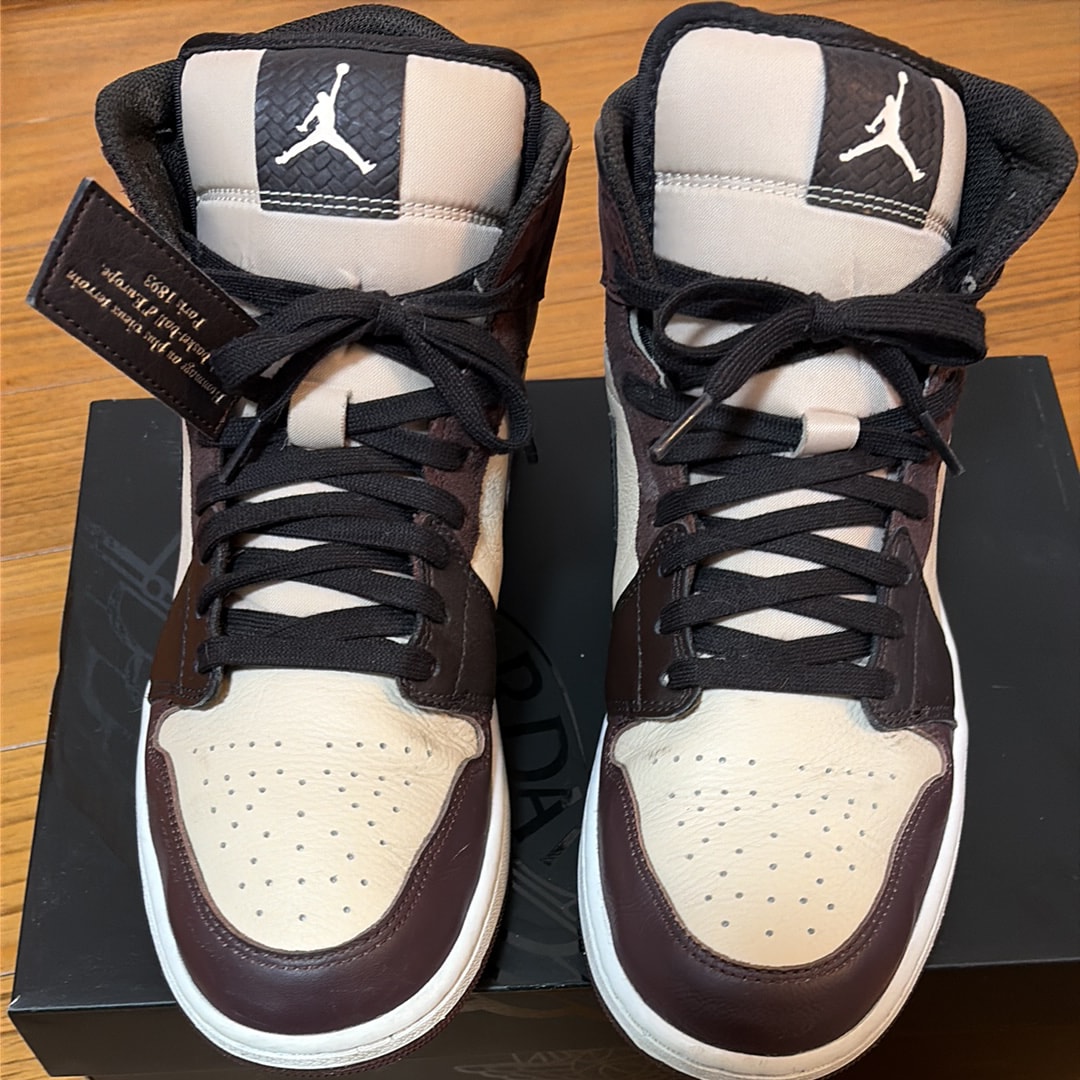 Nike Air Jordan 1 Mid SE "Paris YMCA"