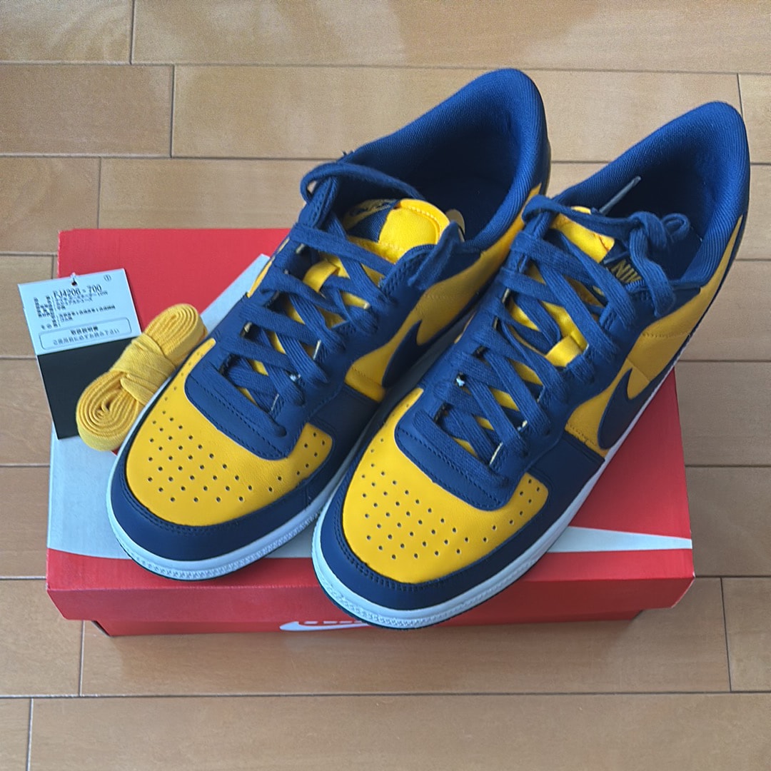 Nike Terminator Low "University Gold and Navy/Michigan"